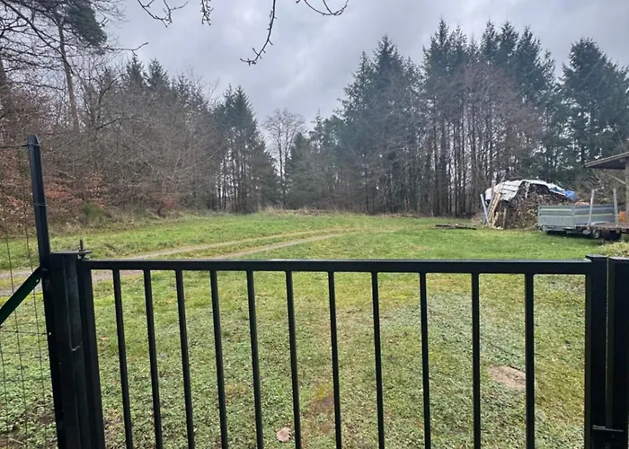 L Extension Du Bonheur A